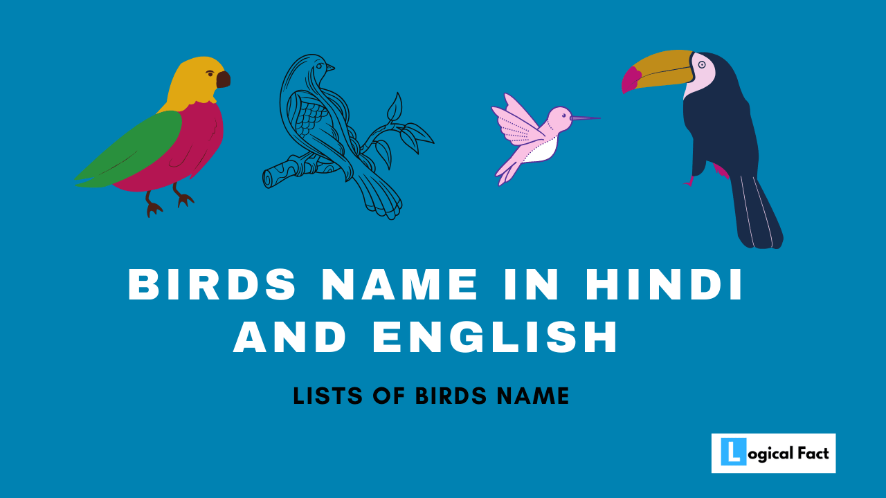 Birds Name in Hindi And English