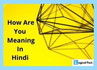 How Are You Meaning In Hindi