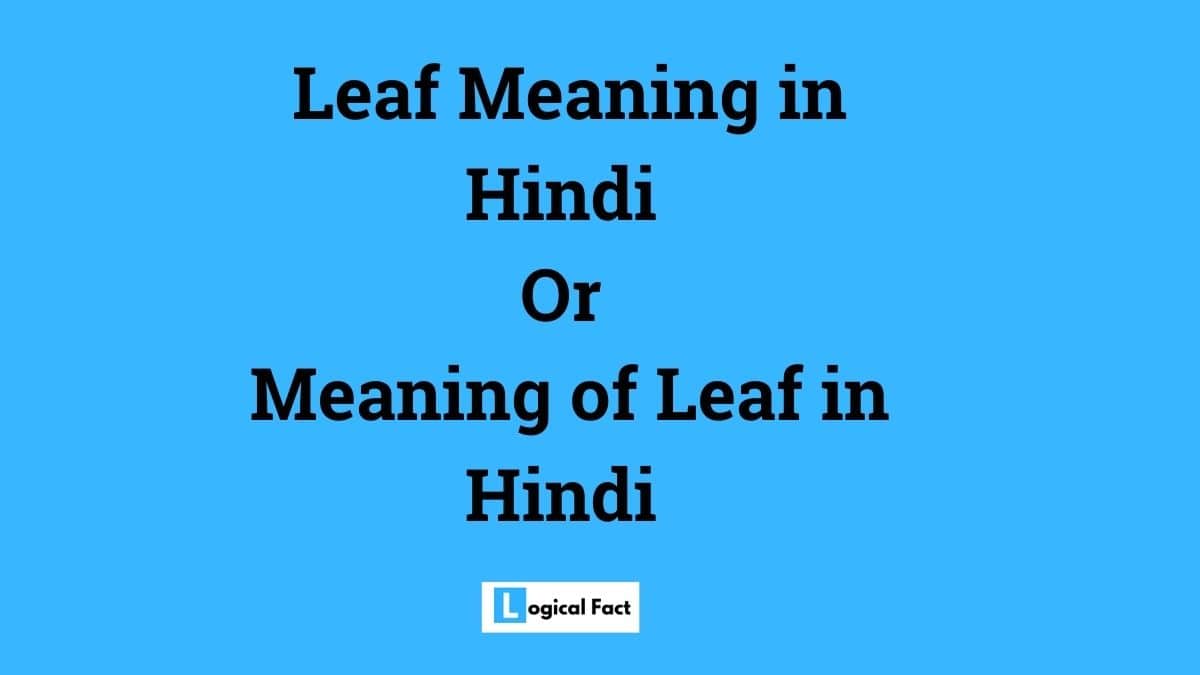 Leaf Meaning in Hindi / Meaning of Leaf in Hindi