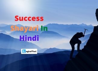 Top 50+ Success shayari in Hindi