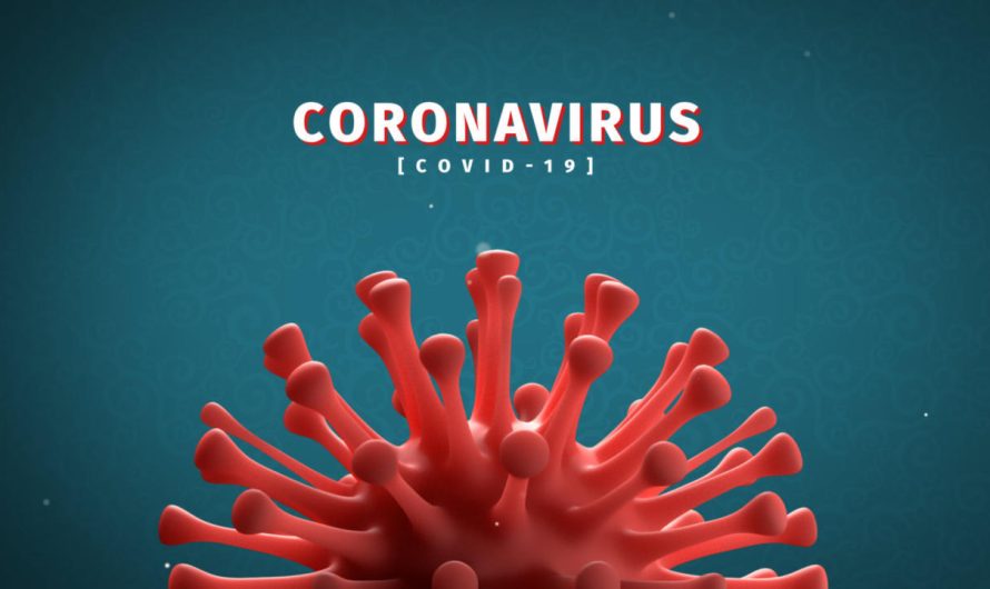 Rajkotupdates.news : Zydus needle free corona vaccine Zycov D