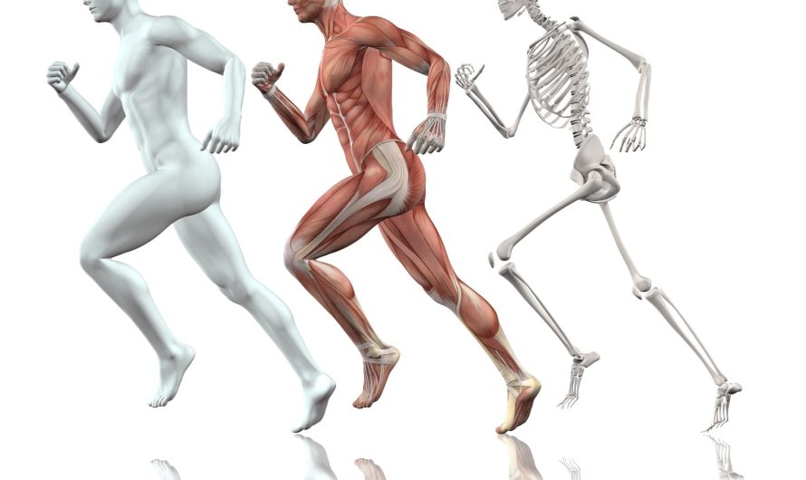 From Bones to Blood: Exploring the Power of Calcium Testing