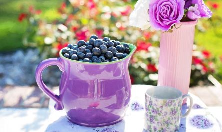 Wellhealthorganic.com:Blueberry-Brain-Boosting-Benefits